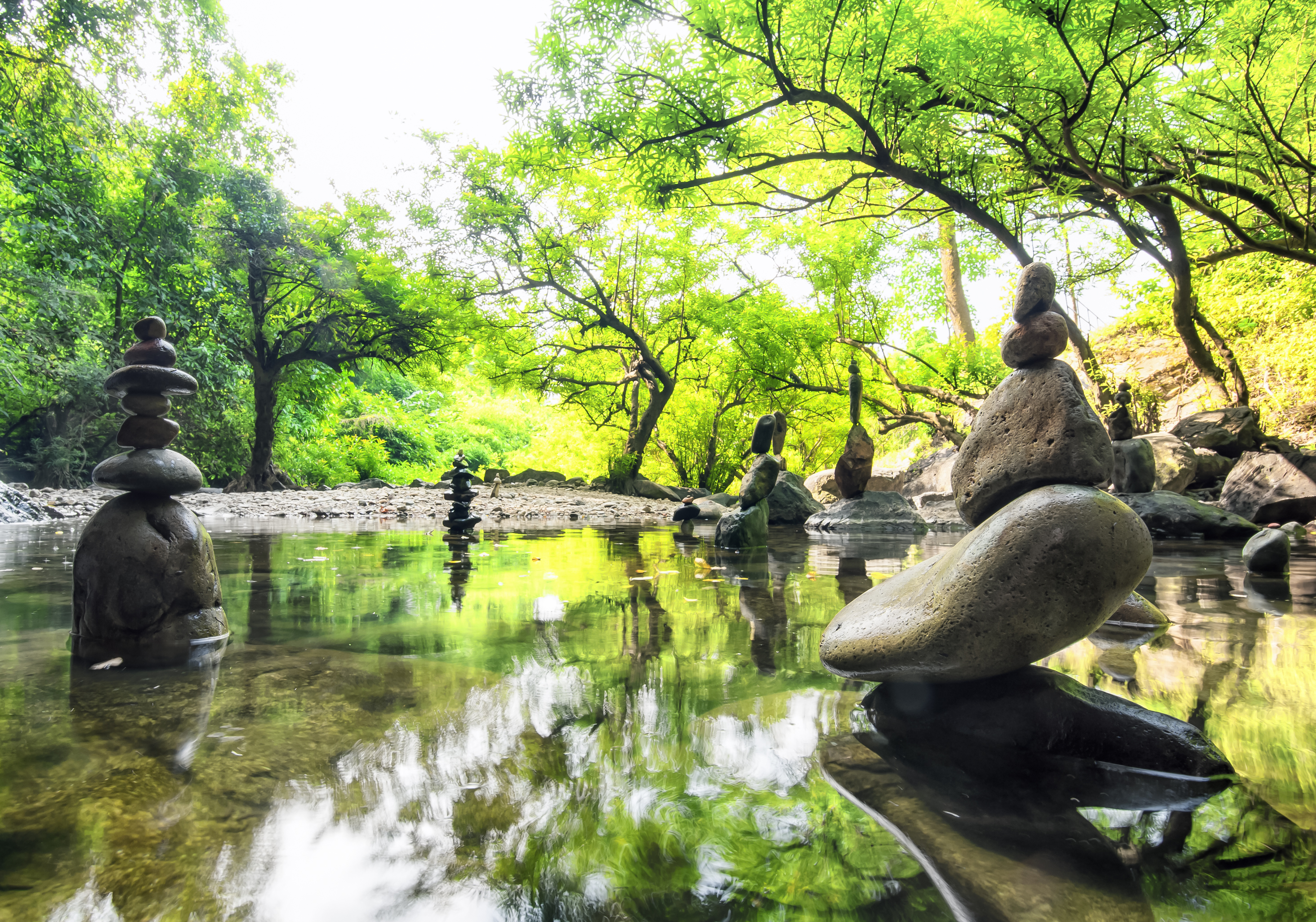 Grass pond with stones